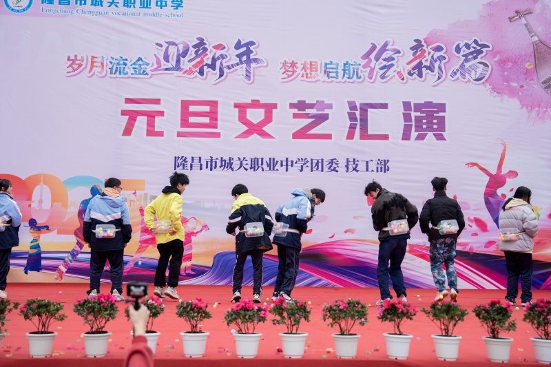 5游戏母鸡下蛋.jpg